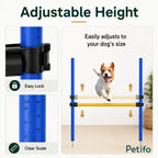 Complete parts list for the Petifo dog agility training set, including poles, stakes, and a blue carry bag.
