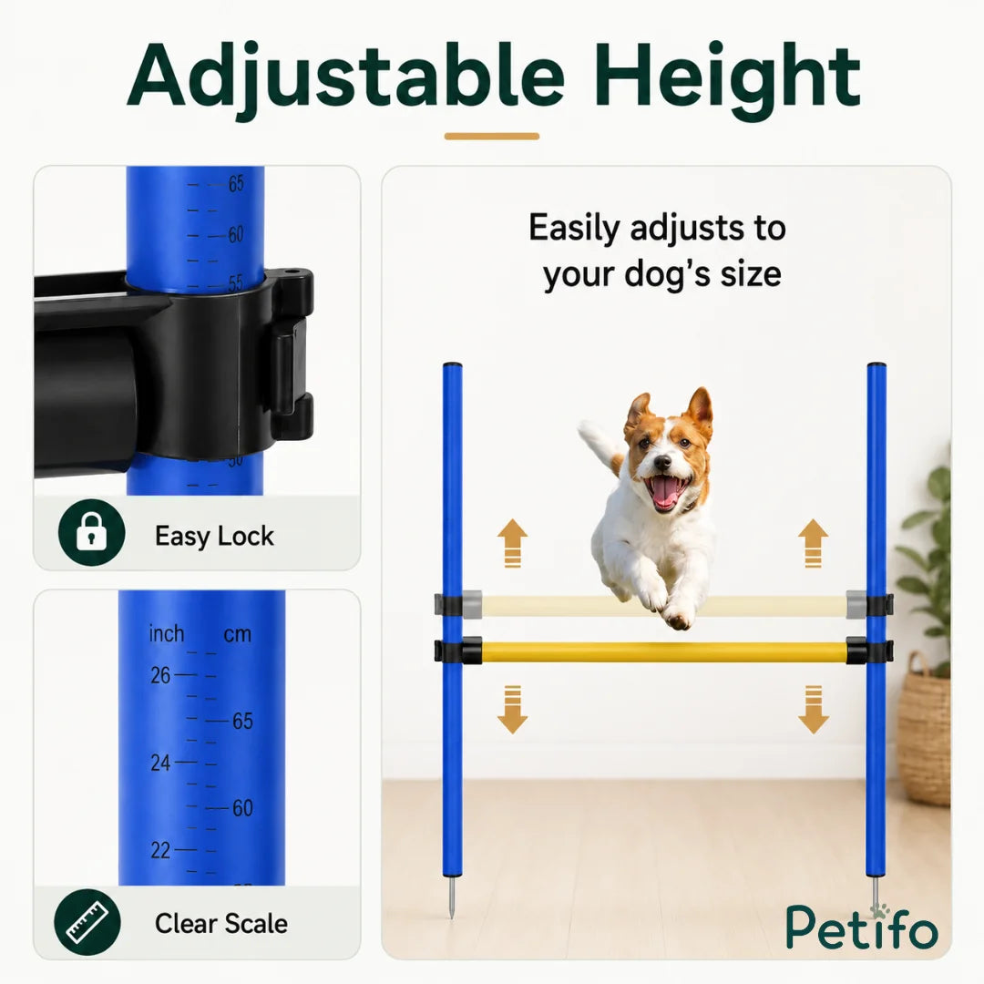Complete parts list for the Petifo dog agility training set, including poles, stakes, and a blue carry bag.