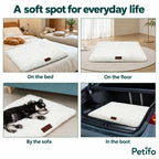 CozyCloud on a bed, on the floor, beside a sofa and in a car boot
