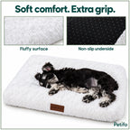 CozyCloud fluffy surface and non-slip underside