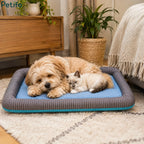 A fluffy dog and a kitten sleeping cozily inside an indoor cooling pet bed.
