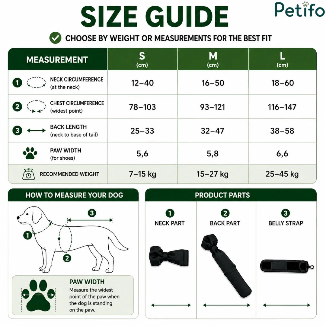 Detailed size chart infographic displaying measurements in centimeters for neck circumference, chest size, back length, paw width, and recommended weight.
