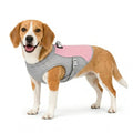 Detixy Cooling Vest Size M Pink - Petifo