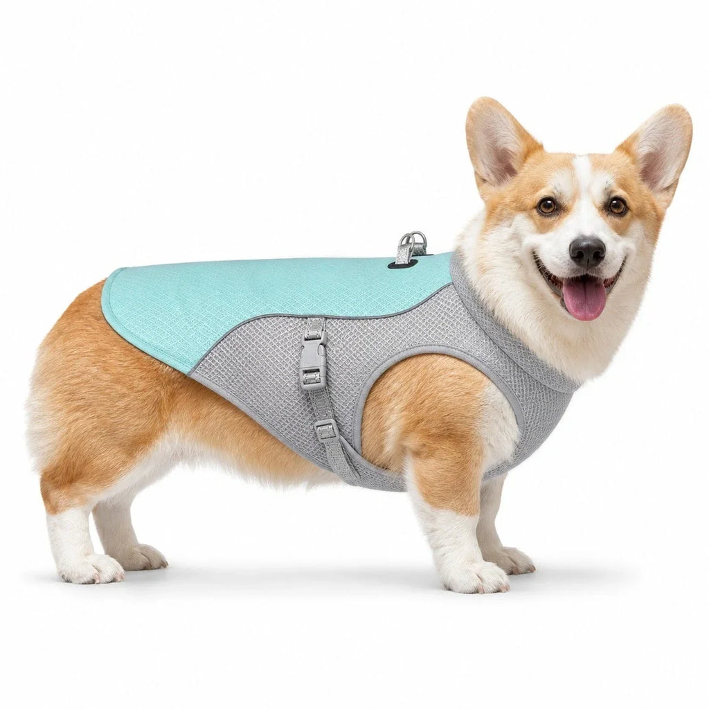 Detixy Cooling Vest Size S Blue - Petifo