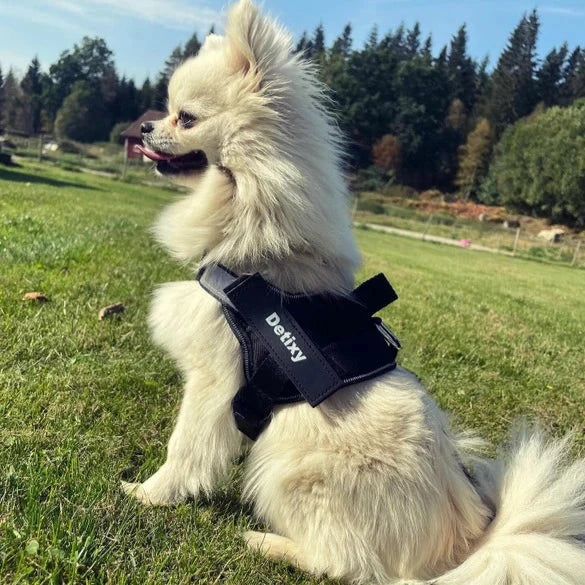 Detixy Dog Harness black colour size sx suits small dogs