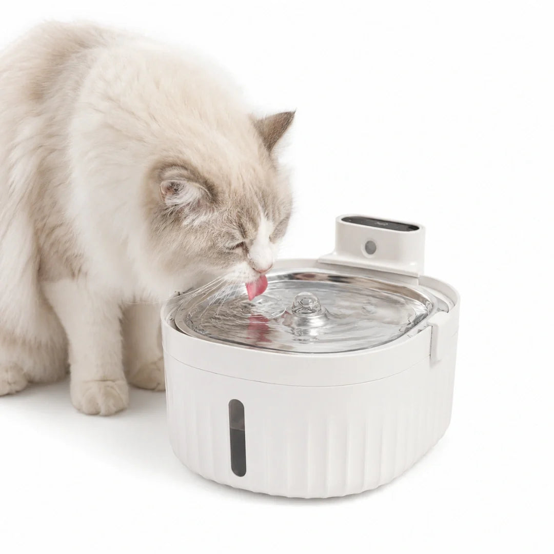 Detixy Wireless Water Fountain - Petifo