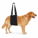 Harnais de levage arrière pour chiens DogHalo