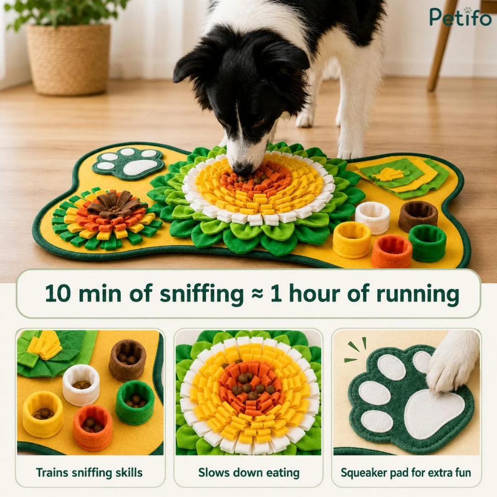 Border Collie sniffing a yellow and green snuffle mat with text stating that 10 minutes of sniffing equals 1 hour of running, highlighting sniffing skills, slow eating, and a squeaker pad.