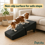 A Cavalier King Charles Spaniel walking up the dark grey expanded pet ramp positioned next to a couch.
