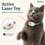 Grey cat looking up at a laser beam from the Petifo active laser toy, featuring an inset highlighting its easy collar attachment.