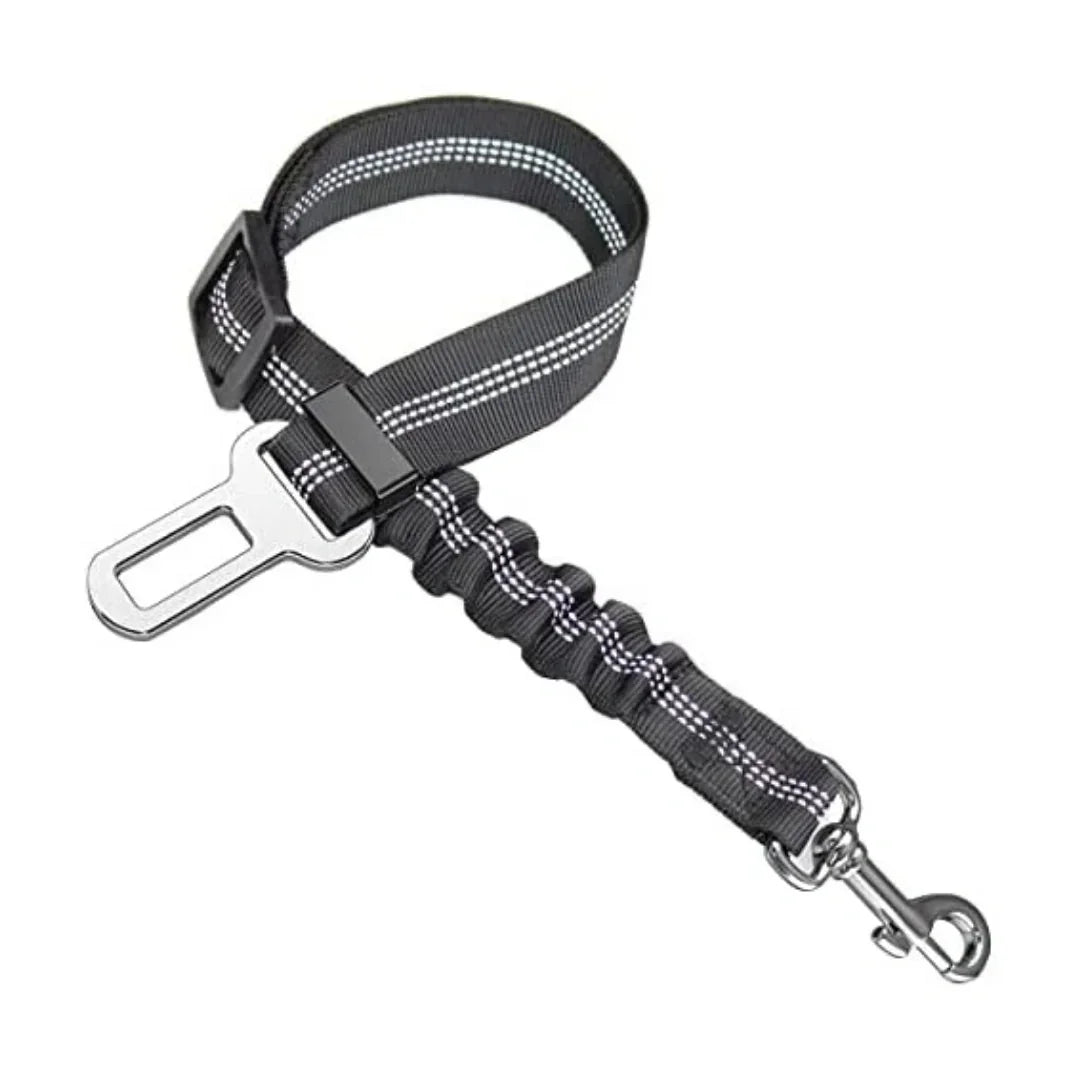 Bungee elastic black pet seat belt leash with reflective stitching and metal hardware.