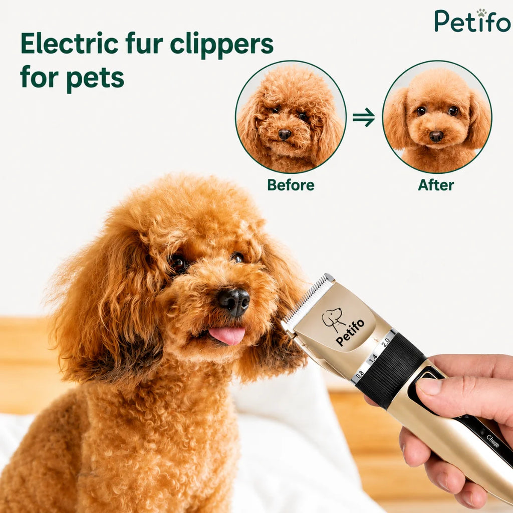 Before and after comparison showing a poodle being groomed with an electric pet fur clipper.
