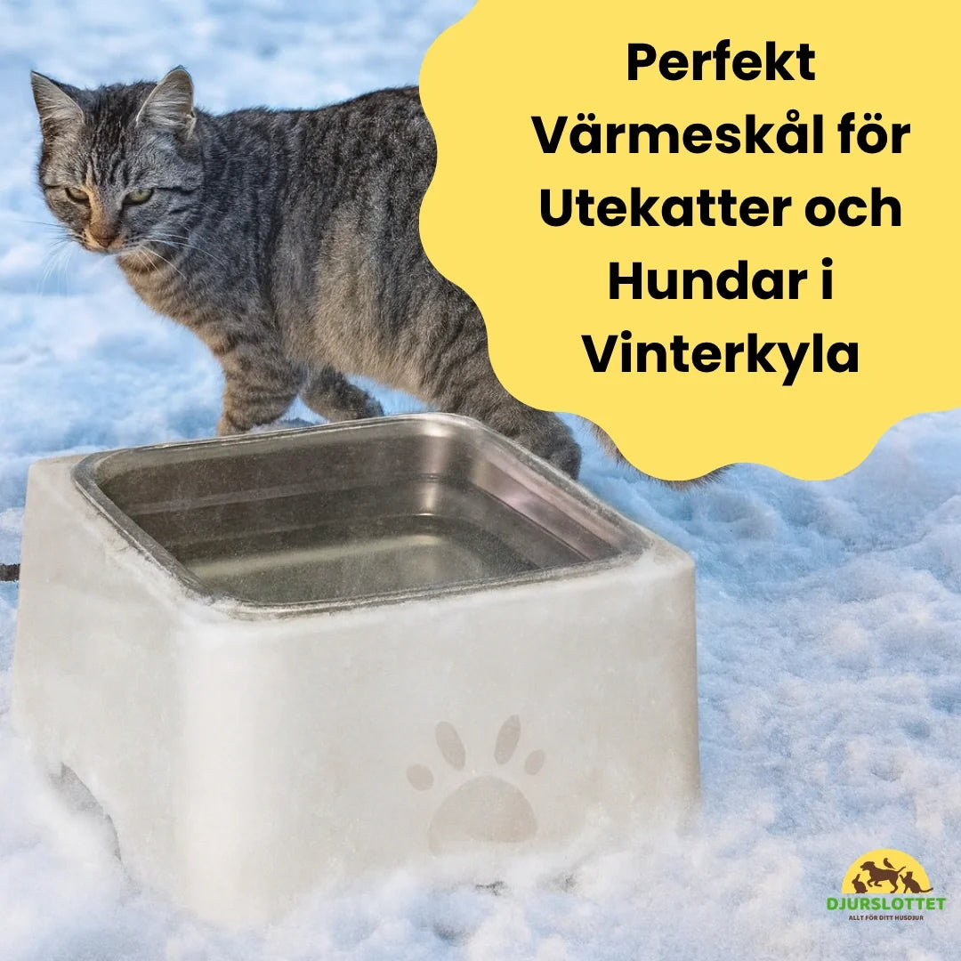 Electrically heated water bowl Perfect Heated Bowl for Outdoor Cats and Dogs in Winter Cold Petifo