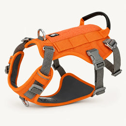 Oranje