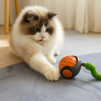 Felineo Spinball Cat Toy 2.0 cat playing with the cat toy - Petifo