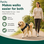 Woman walking a Golden Retriever happily on a path using a black dog harness with a built-in retractable flexi leash.
