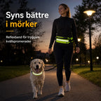 Flexura Dog Lead with waist bag reflective band - Petifo