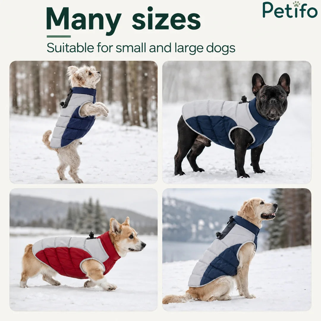 Four-panel product showcase displaying winter dog coats in various colors fitted on different small and large dog breeds.