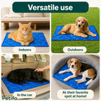 Four-panel showcase displaying the Petifo cooling mat used indoors, outdoors, in a car, and inside a pet bed.