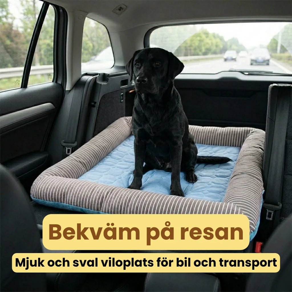 Frostypaws Cooling Mat for dogs  Comfortable on the trip- Petifo