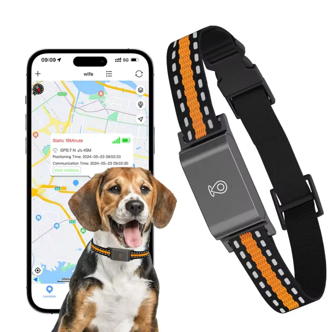 GPS Collar for Pets - Petifo