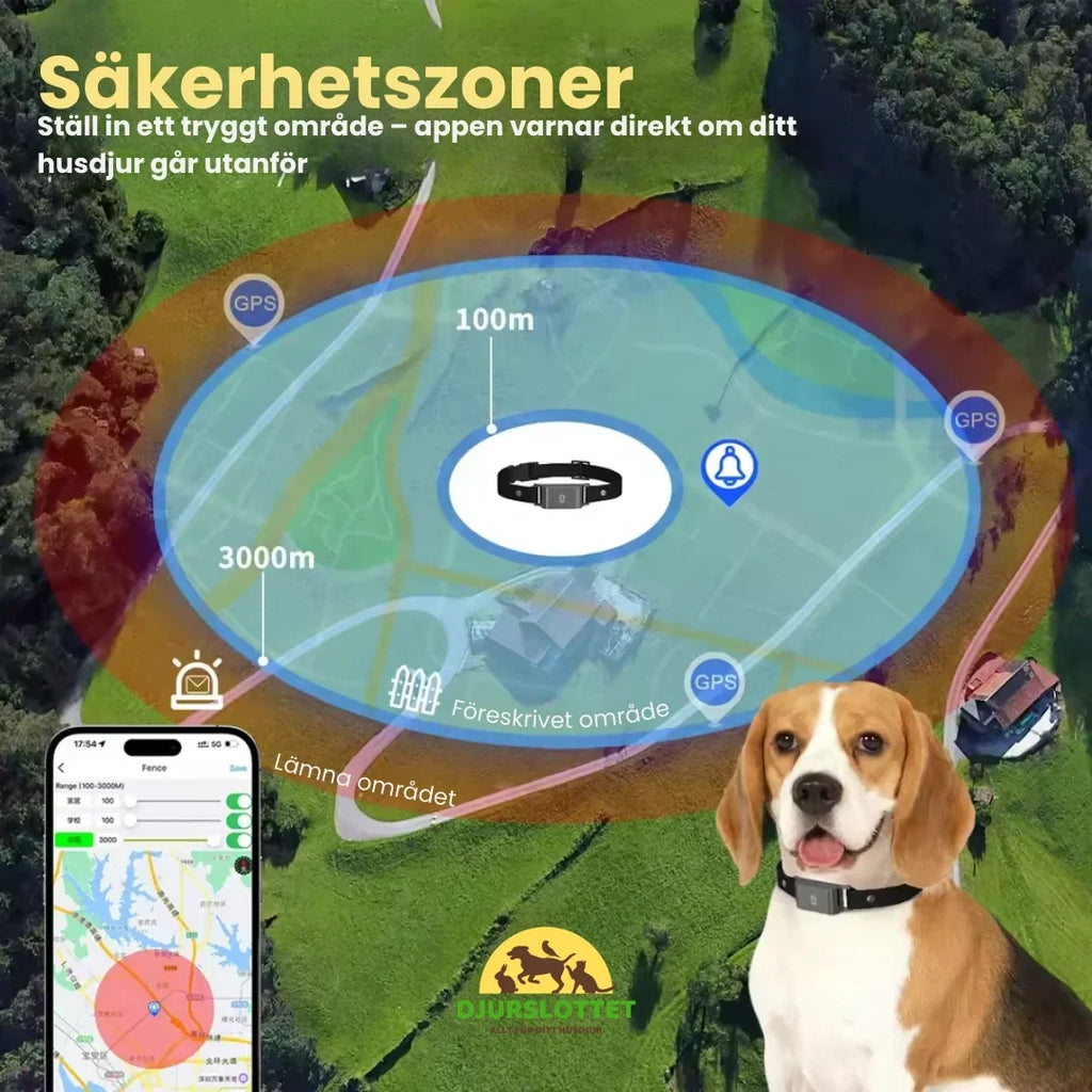 GPS Collar for Pets Safe zones - Petifo