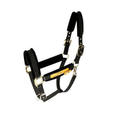 Licou rembourré Quilvera pour chevaux