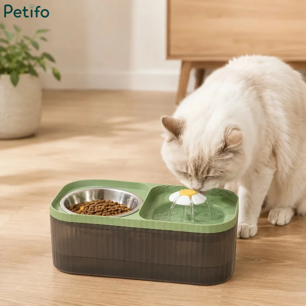 A white cat drinks fresh running water from a green 2-in-1 pet water fountain and food bowl dispenser.