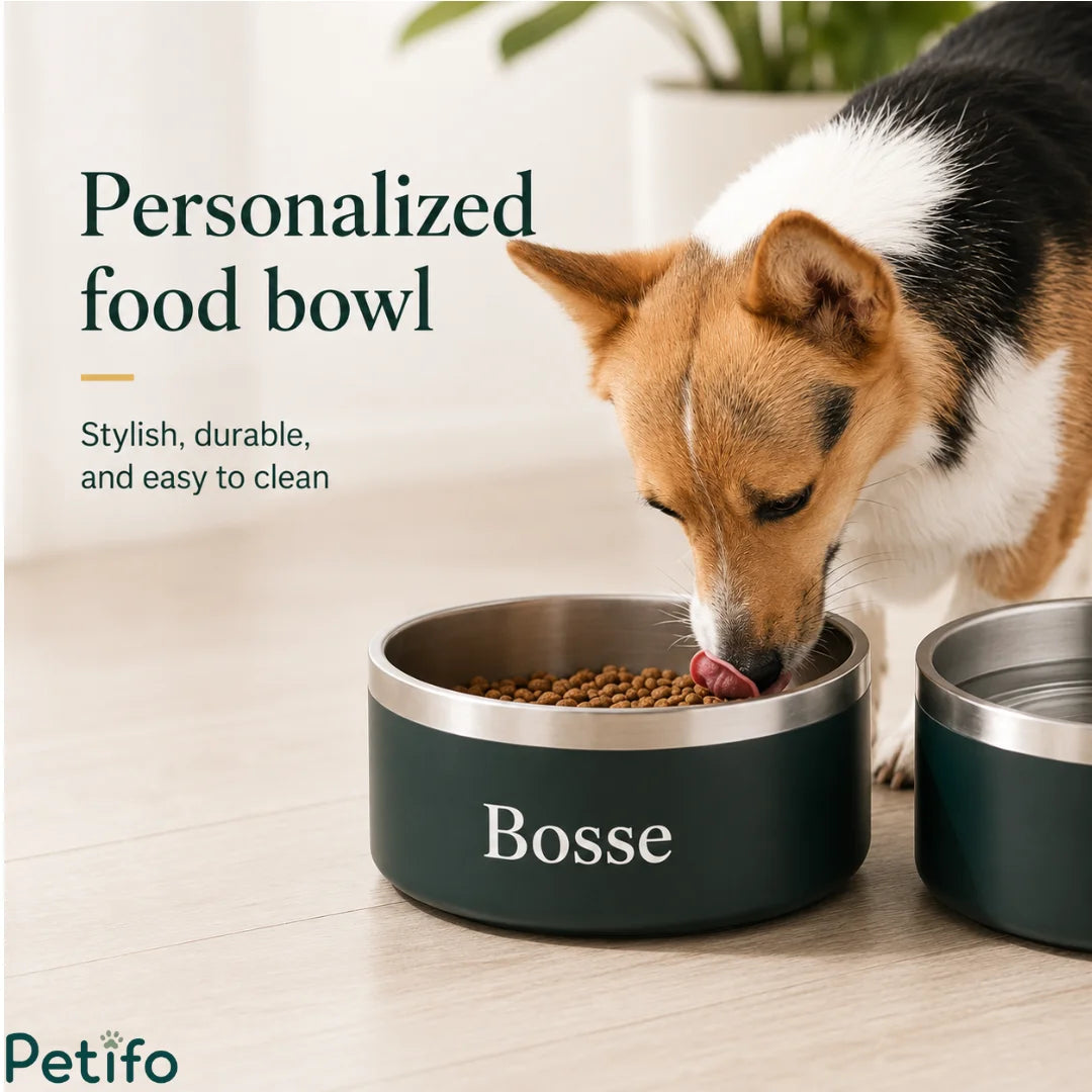 Cute dog eating dry food from a dark green personalized stainless steel pet bowl placed on a wooden floor.