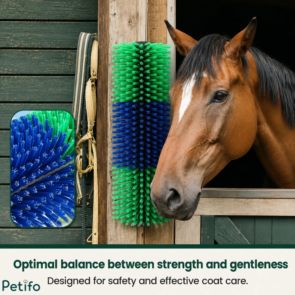 A brown horse standing next to a green and blue wall-mounted scratcher outside a stable.