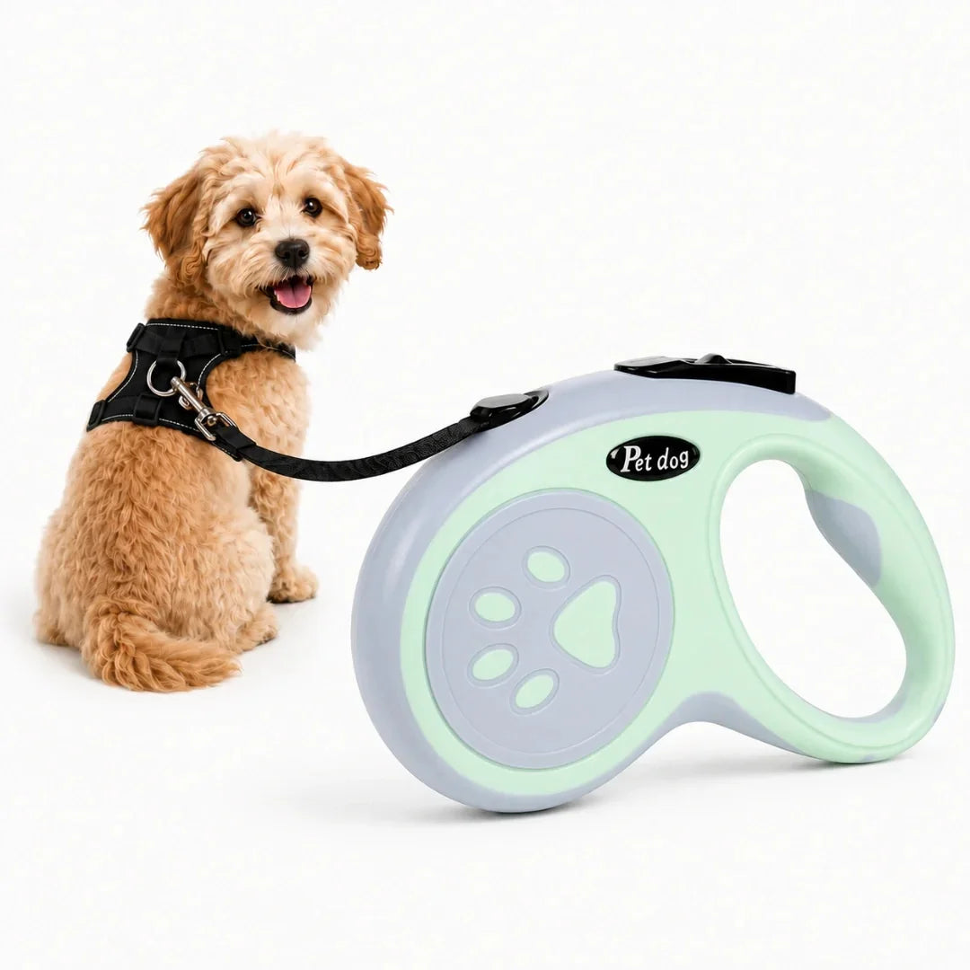 A small fluffy dog sitting next to a mint green and gray retractable dog leash.