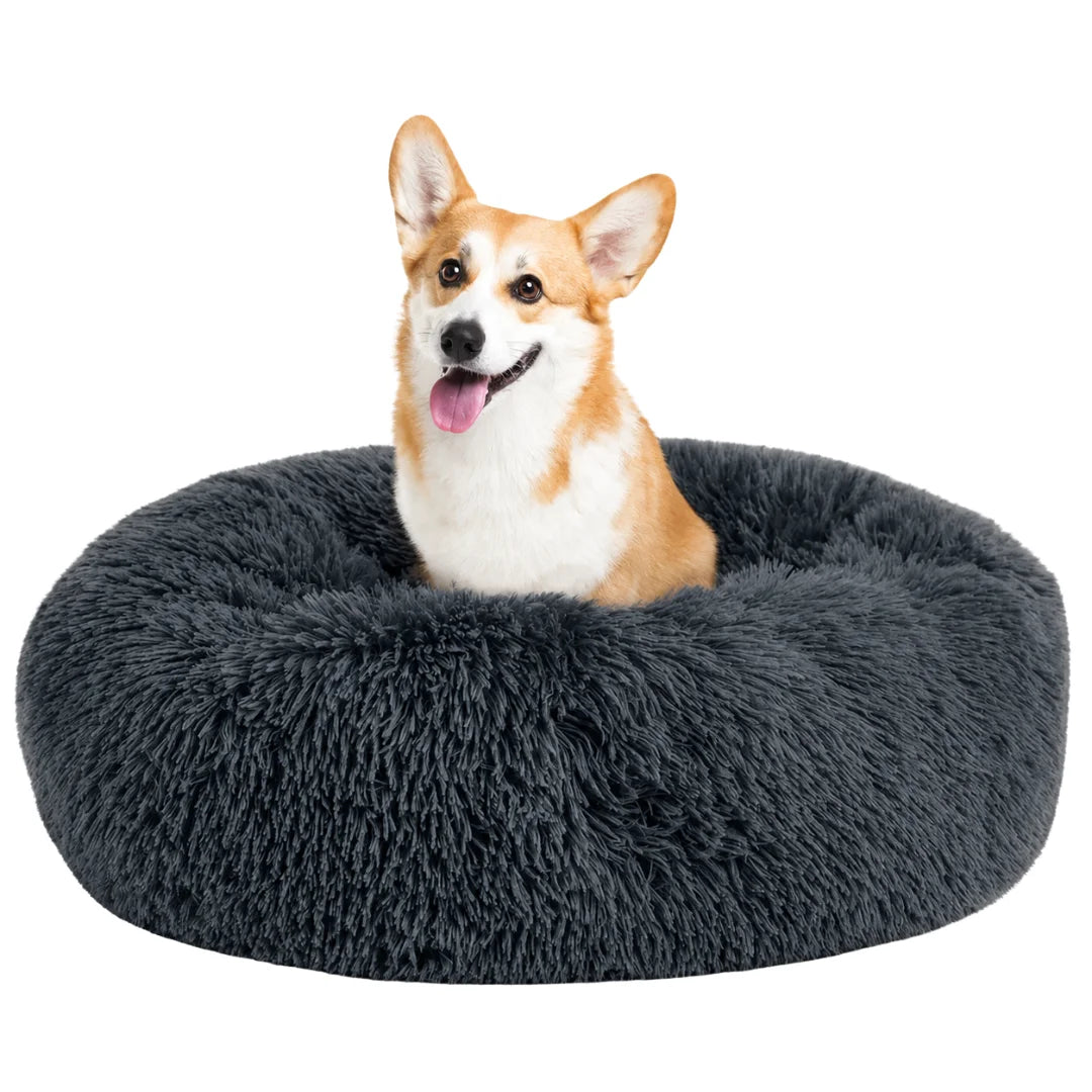 Happy corgi sitting alertly in a dark charcoal grey fluffy round pet bed.