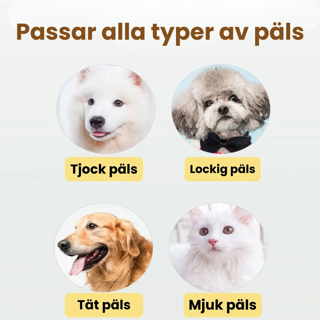 Grooming kit  Suits all types of coat - Petifo