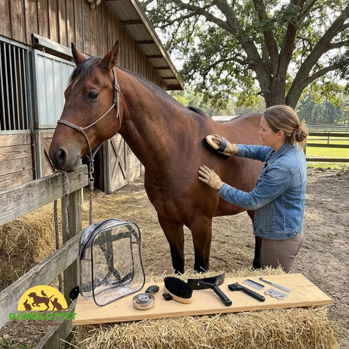 Horse Brushes Set with Bag Practical bag - Petifo