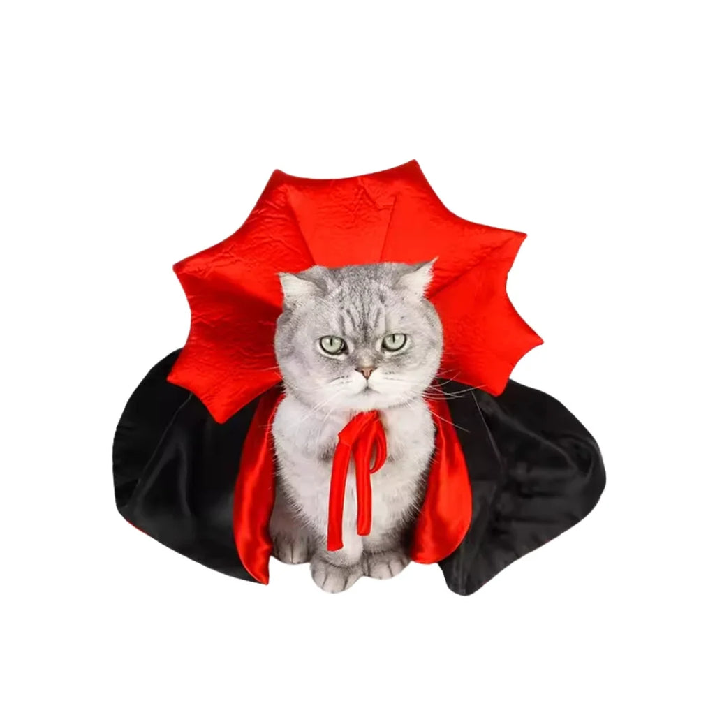 Halloween Costume for Cats Comfort in focus - Petifo