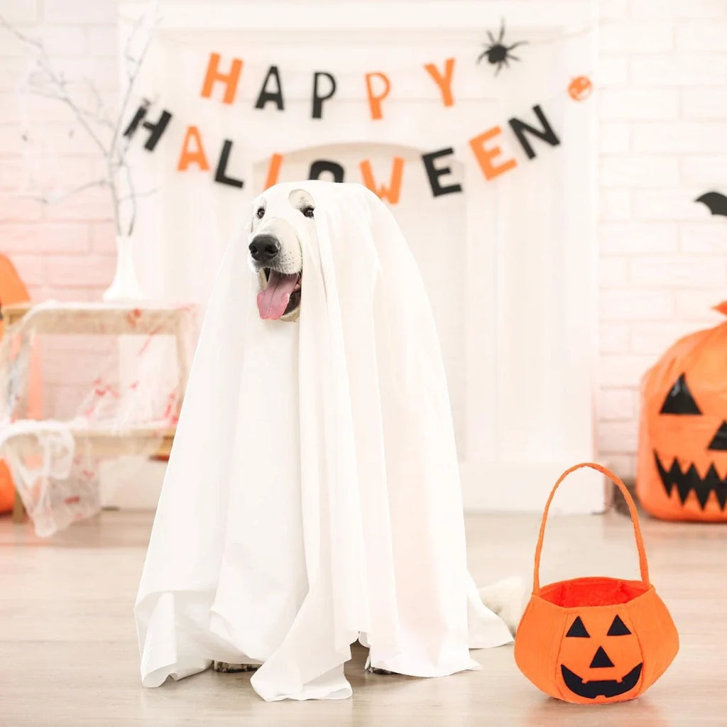 Halloween costume with pumpkin basket for dogs Comfortable fit for the dog - Petifo