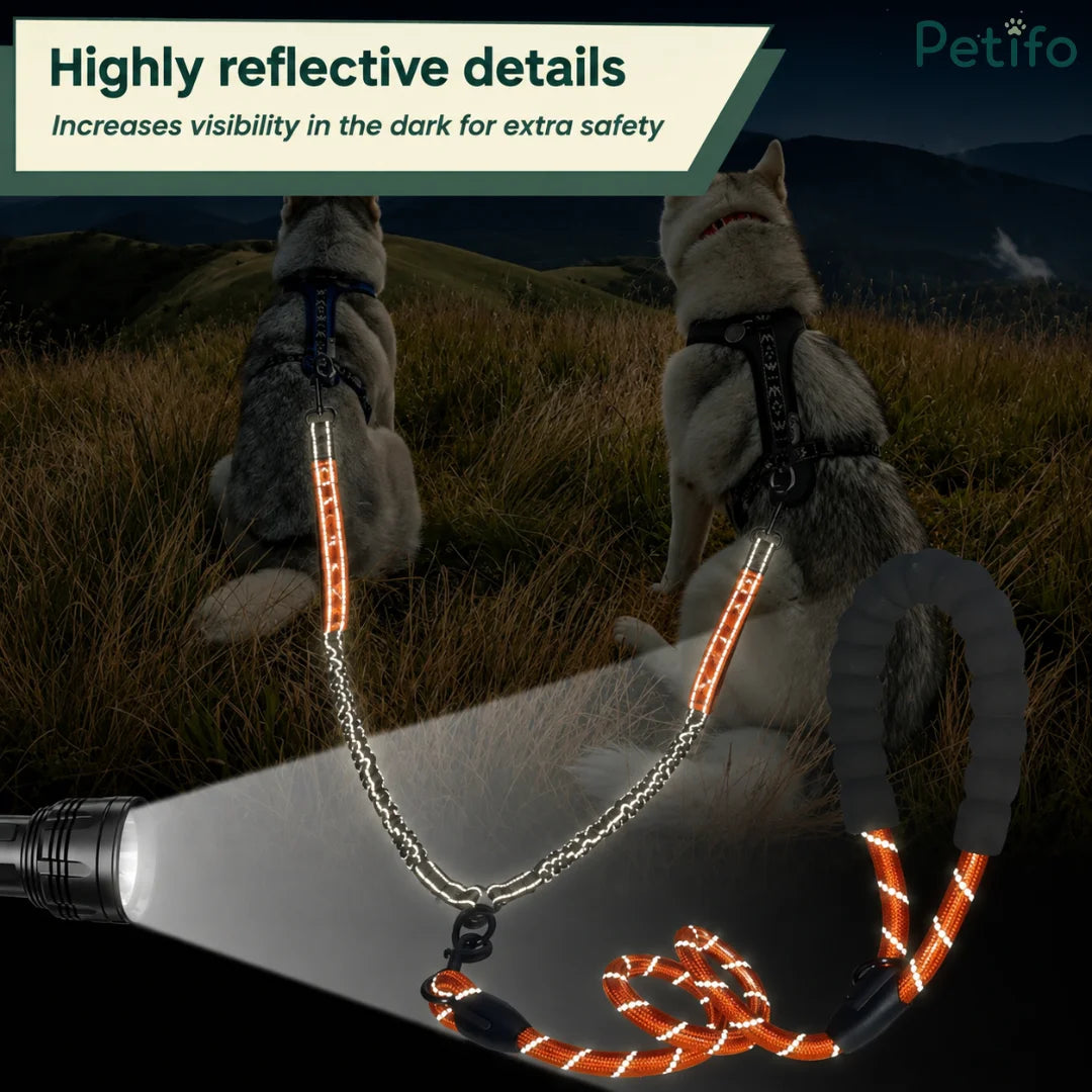 Two huskies sitting outdoors while a flashlight illuminates the highly reflective details of the safety dog leash.