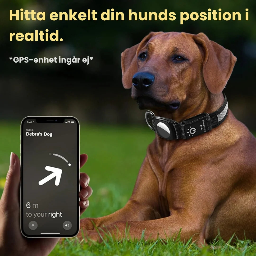 Easily find your dog's Glowing AirTag collar For dogs - Petifo