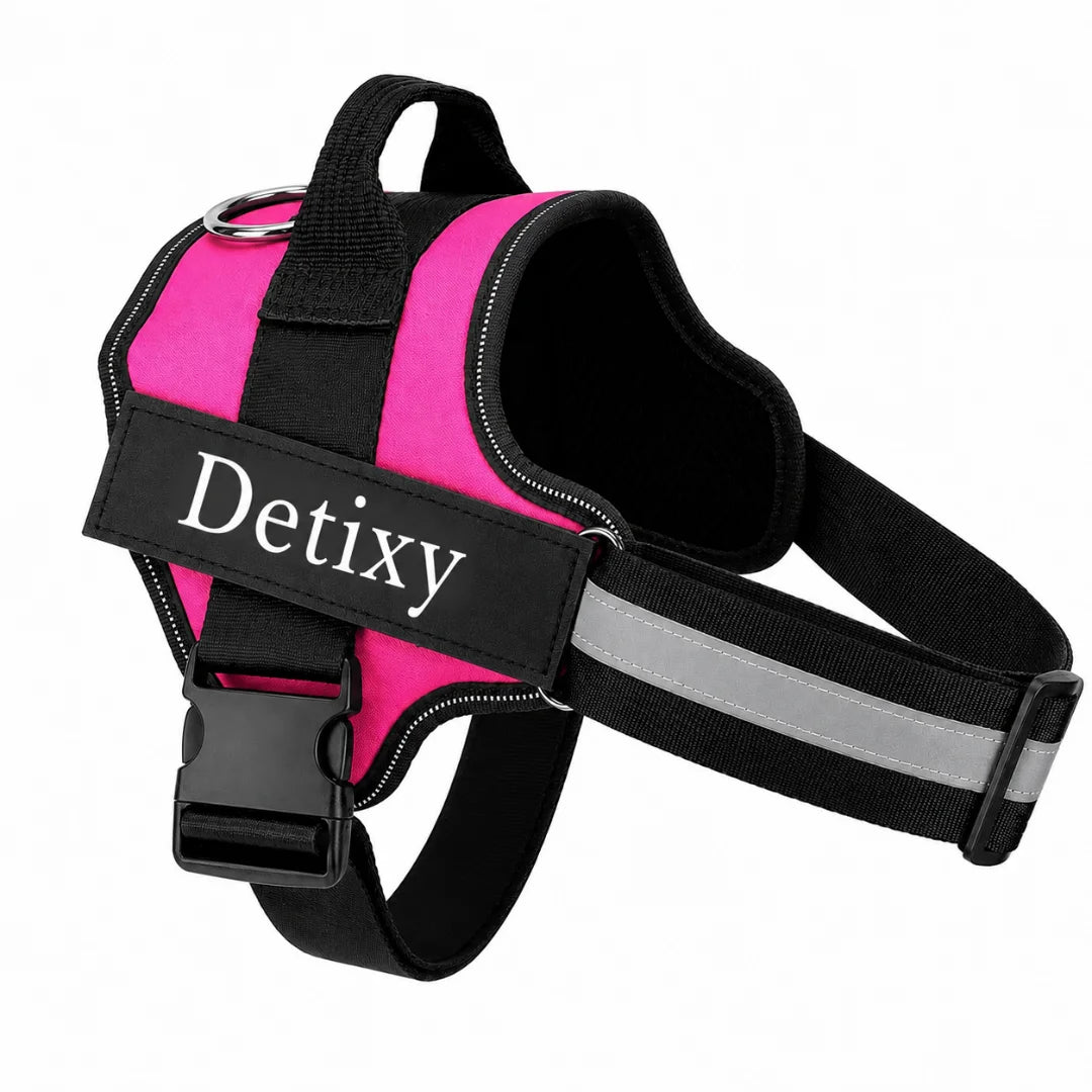 A hot pink reflective dog harness with durable black nylon straps, a back handle, and a "Detixy" patch.