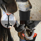 Adjustable Hoof Stand for horse Relieving - Petifo