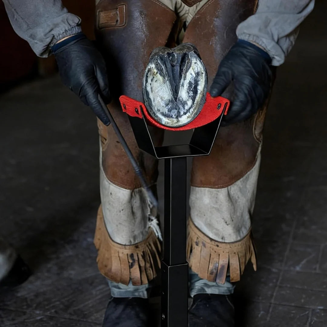 Adjustable Hoof Stand for horse Stable support - Petifo