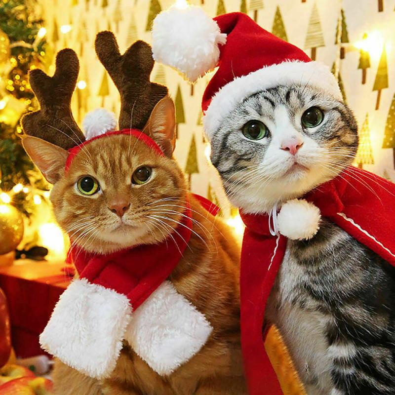 Dog and Cat Christmas Hat / Scarf - Petifo