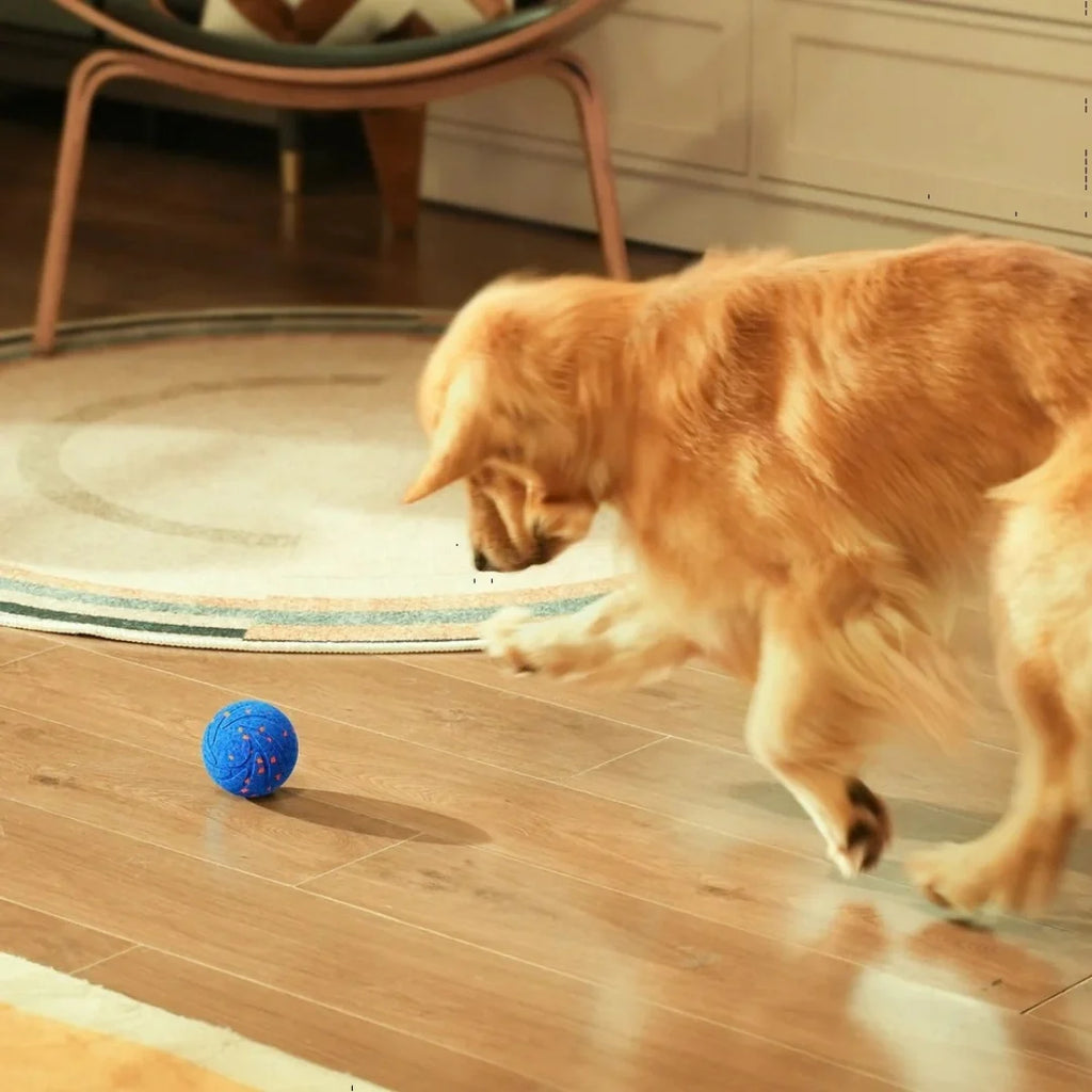 Dog Ball - Petifo