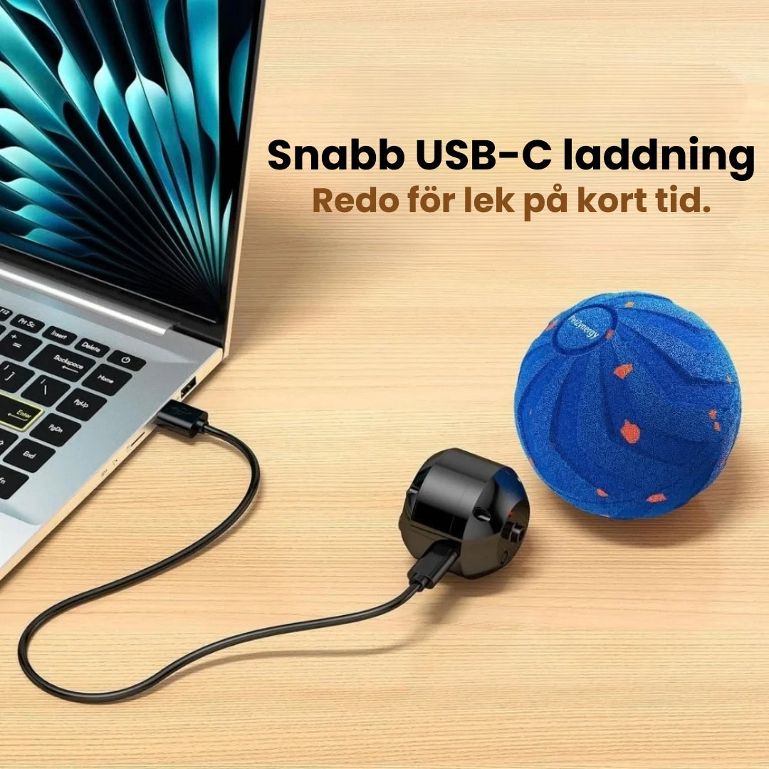 Dog Ball Fast USB-C charging - Petifo