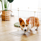 Dog Crate Dogman,
Dog Crate For Puppy, Dog Crate - Petifo