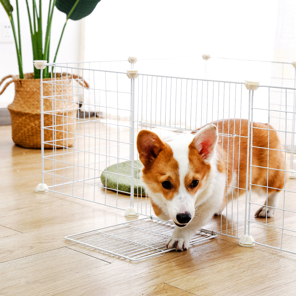 Dog Crate Dogman,
Dog Crate For Puppy, Dog Crate - Petifo