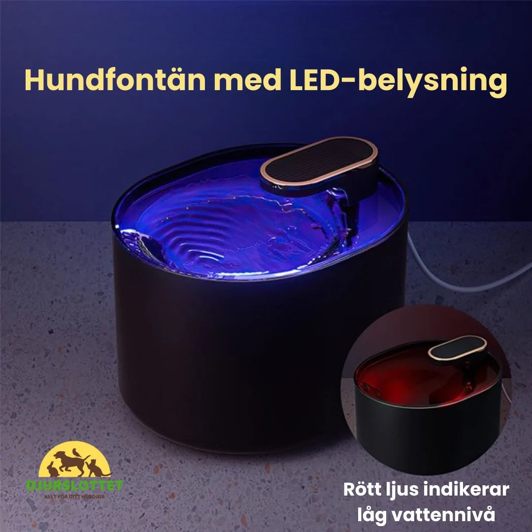 Dog Fountain Dog fountain with LED lighting - Petifo