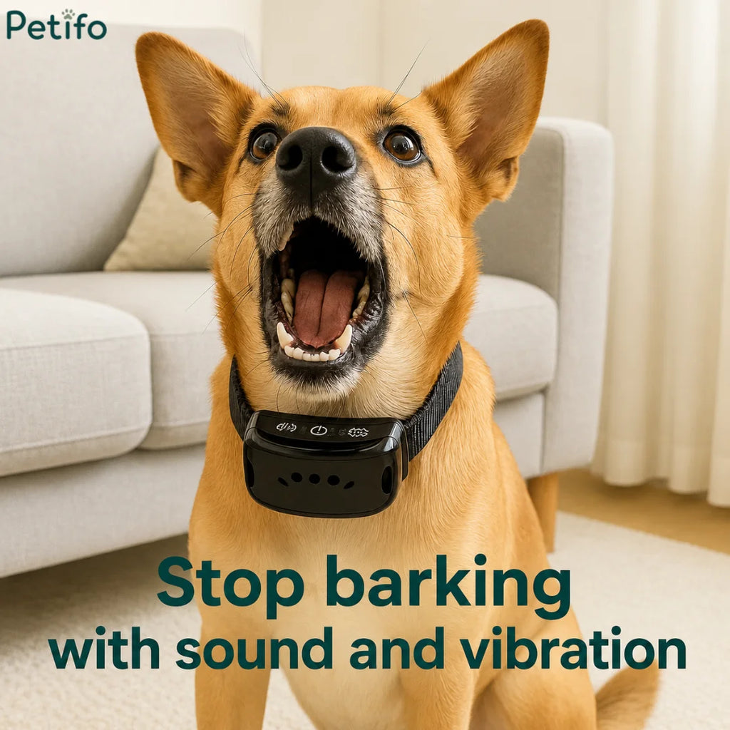 Indoor lifestyle photo of a dog wearing the stop-barking collar with sound and vibration features.