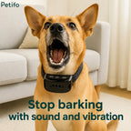 Indoor lifestyle photo of a dog wearing the stop-barking collar with sound and vibration features.