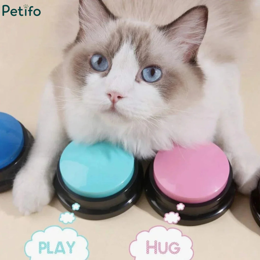 A white and grey cat resting next to interactive pet training communication buttons labeled play and hug.
